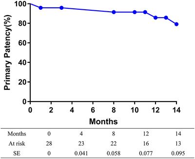 Drug-Coated Balloon for the Treatment of Femoropopliteal Tosaka Class III In-stent Restenosis Lesions